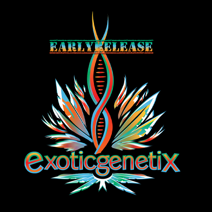 Blonuts by Exotic Genetix cannabis strain