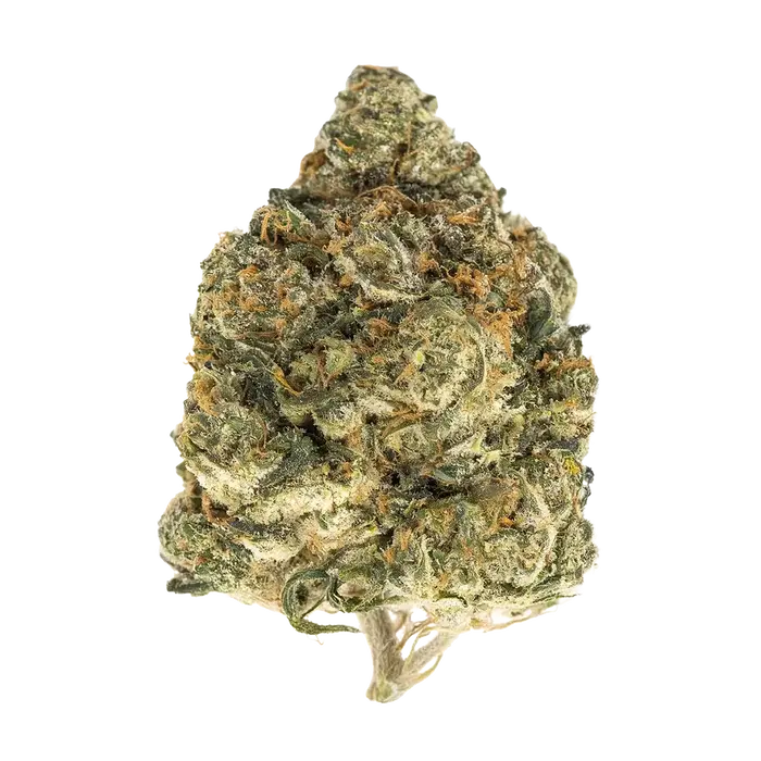 Blooperz by High Grade Selections cannabis strain