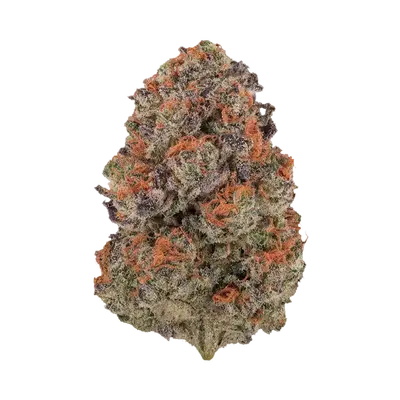 Blorange by Burning Rope Pharms cannabis strain