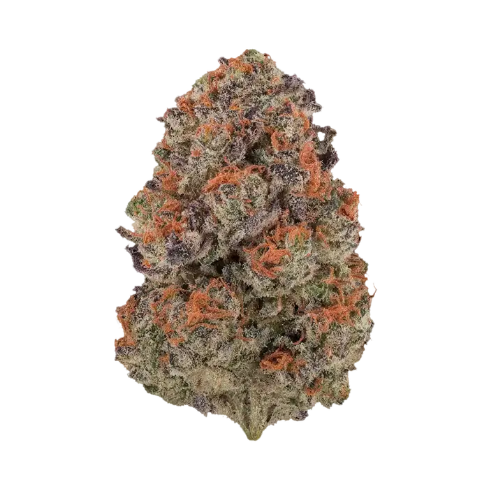 Blorange by Burning Rope Pharms cannabis strain