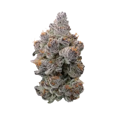 Blue Berrymore X Devil Driver by Blockhead Buds cannabis strain