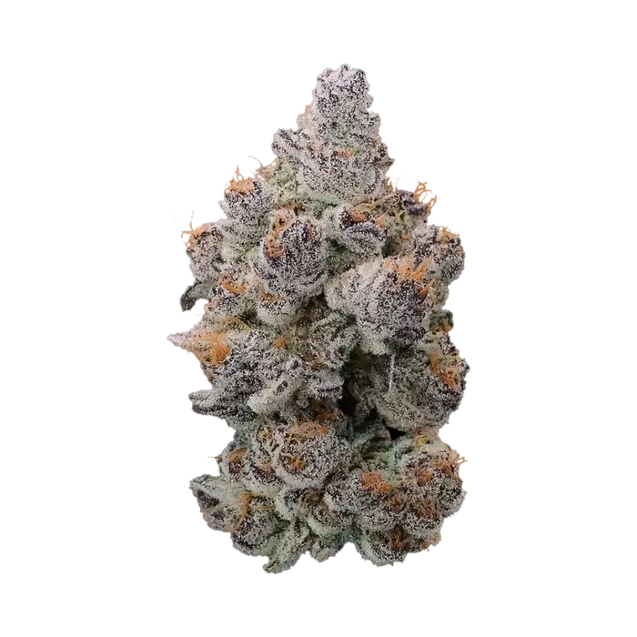Blue Berrymore X Devil Driver by Blockhead Buds cannabis strain