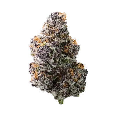 Blue Berrymore by Blockhead Buds cannabis strain