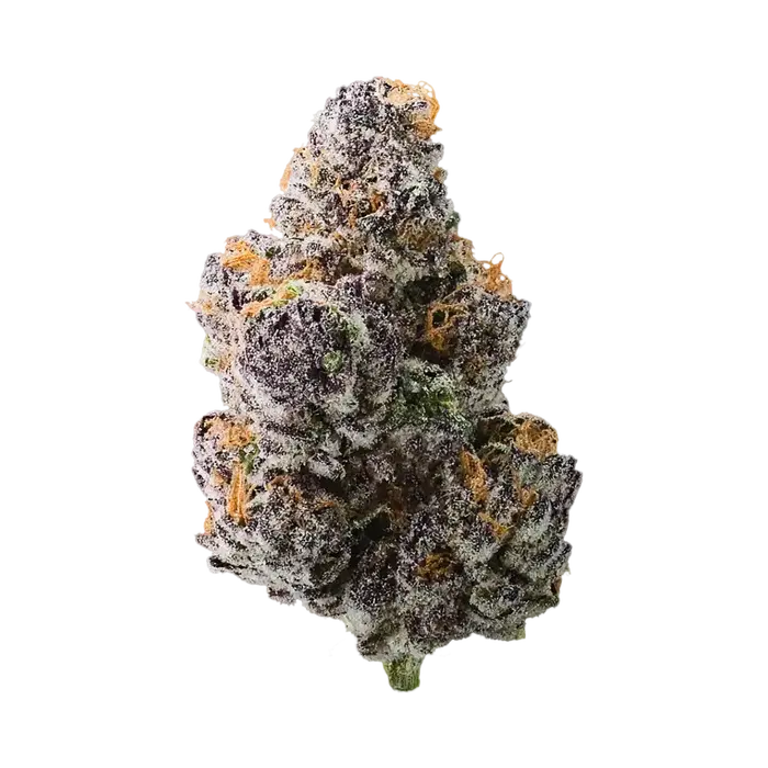 Blue Berrymore by Blockhead Buds cannabis strain