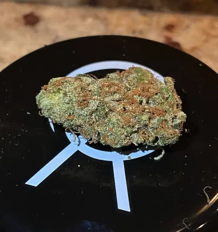 Blue Blitz by Abundant Organics cannabis strain