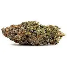 Blueberry Cream Regular by Ak Bean Brains cannabis strain