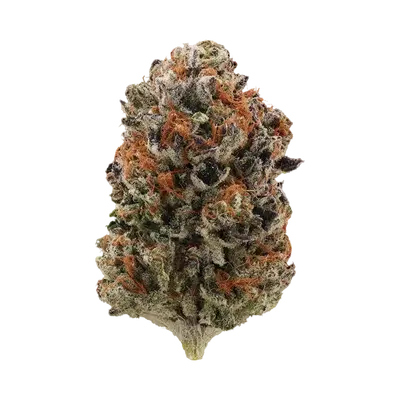 Blunana by Burning Rope Pharms cannabis strain