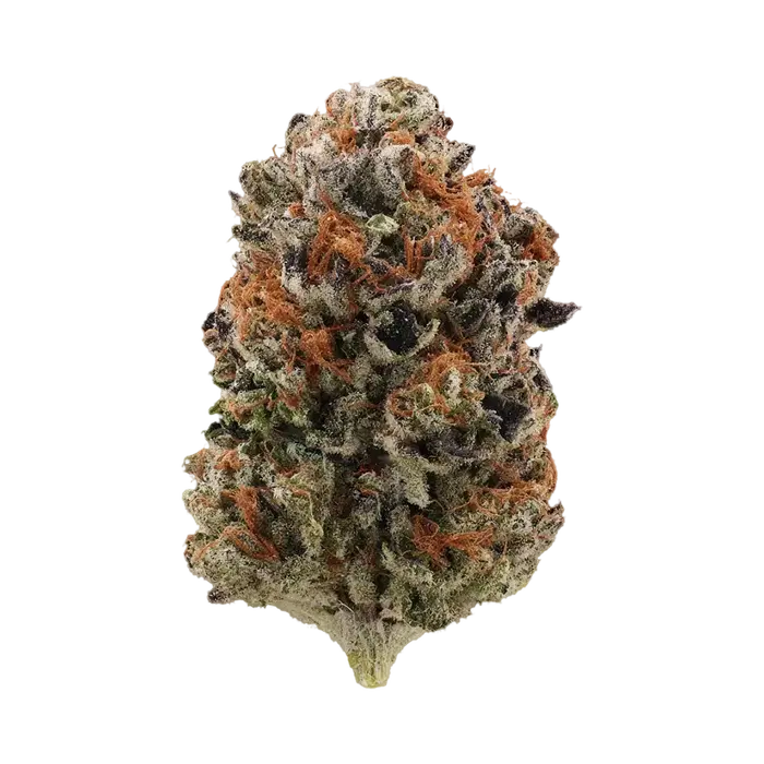 Blunana by Burning Rope Pharms cannabis strain