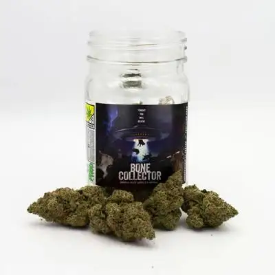 Bone Collector by Phat Panda cannabis strain