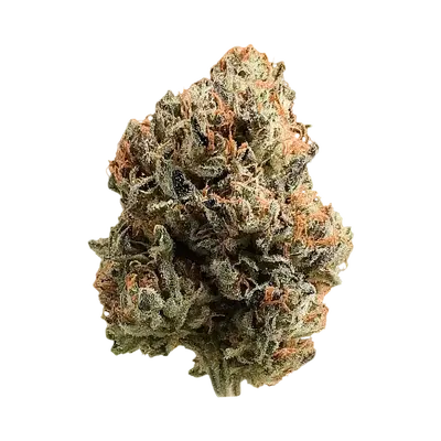 Buckhead Betty by High Grade Selections cannabis strain