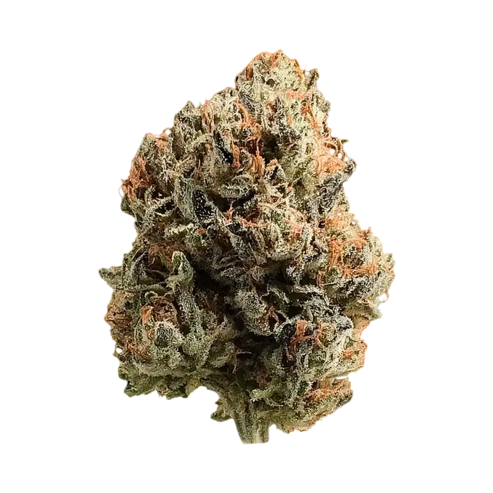 Buckhead Betty by High Grade Selections cannabis strain