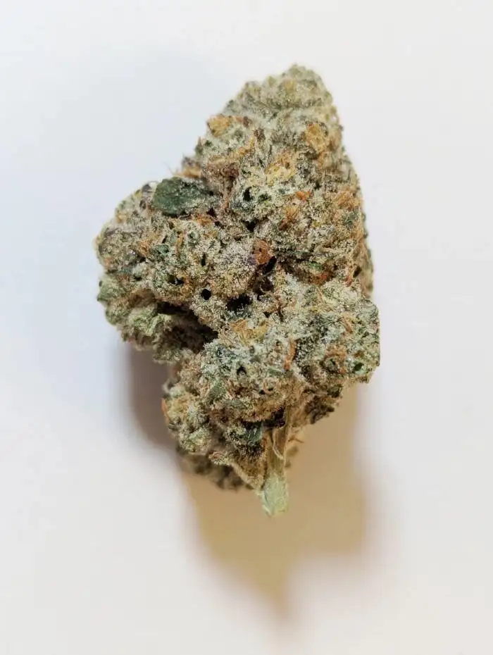Buddha Bliss by Church Of Cannabis cannabis strain