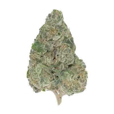 Butter Fat Og by High Grade Selections cannabis strain