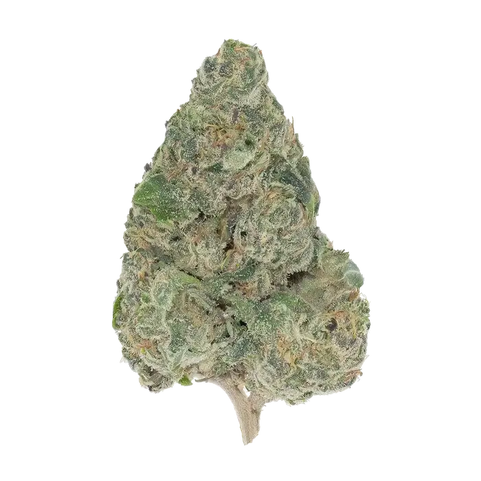 Butter Fat Og by High Grade Selections cannabis strain