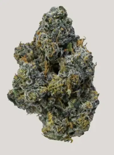 Caddie Cookies by Greens Crew cannabis strain