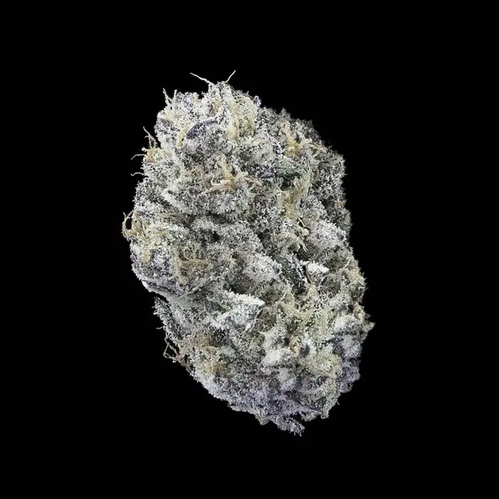 Candy Queen by Falcanna cannabis strain
