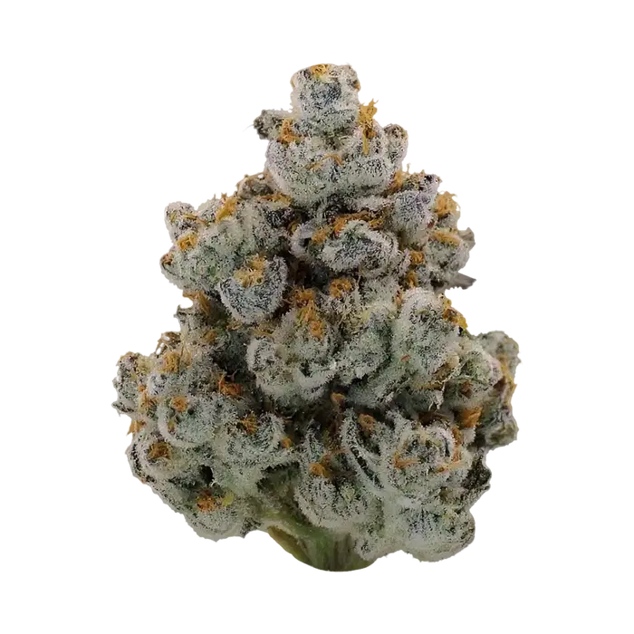 Cap Junky X Devil Driver by Blockhead Buds cannabis strain