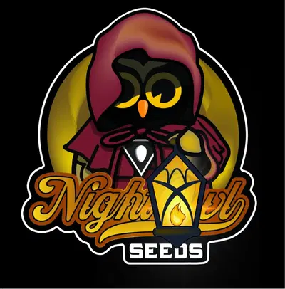 Chem N Qoolaid by Night Owl Seeds cannabis strain
