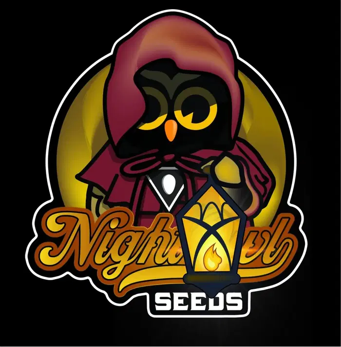 Chem N Qoolaid by Night Owl Seeds cannabis strain