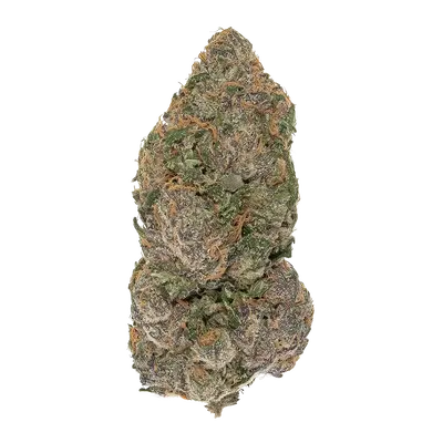 Cherry Rangoon by High Grade Selections cannabis strain