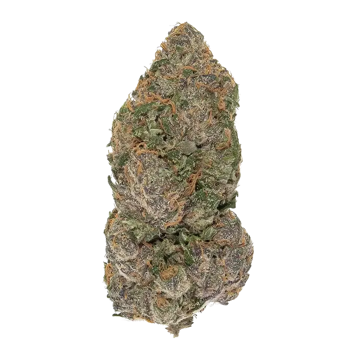 Cherry Rangoon by High Grade Selections cannabis strain