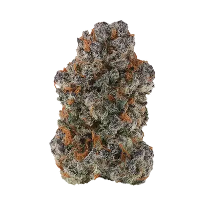 Ciabatti by Offensive Selections cannabis strain
