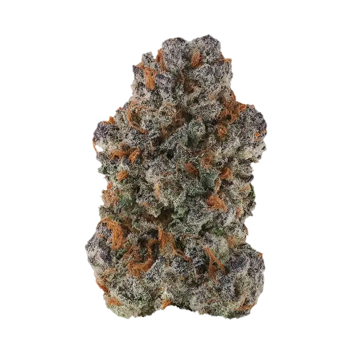 Ciabatti by Offensive Selections cannabis strain