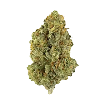 Clean Kush by Blockhead Buds cannabis strain