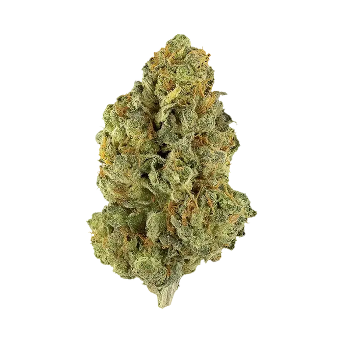 Clean Kush by Blockhead Buds cannabis strain