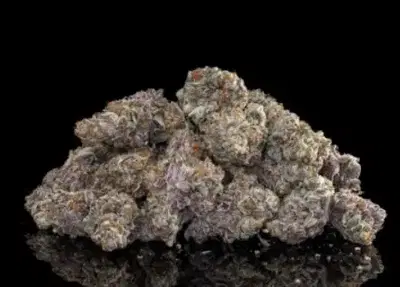Comatose by Offensive Selections cannabis strain