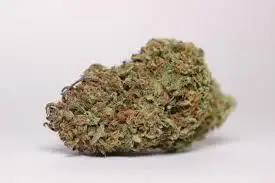 Coyote Art by Green Source Gardens cannabis strain