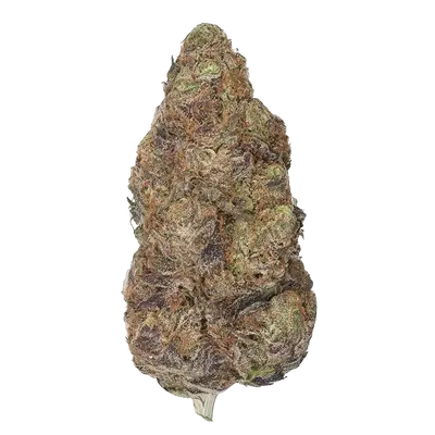 Crème Noir by Xeno Seed Company cannabis strain
