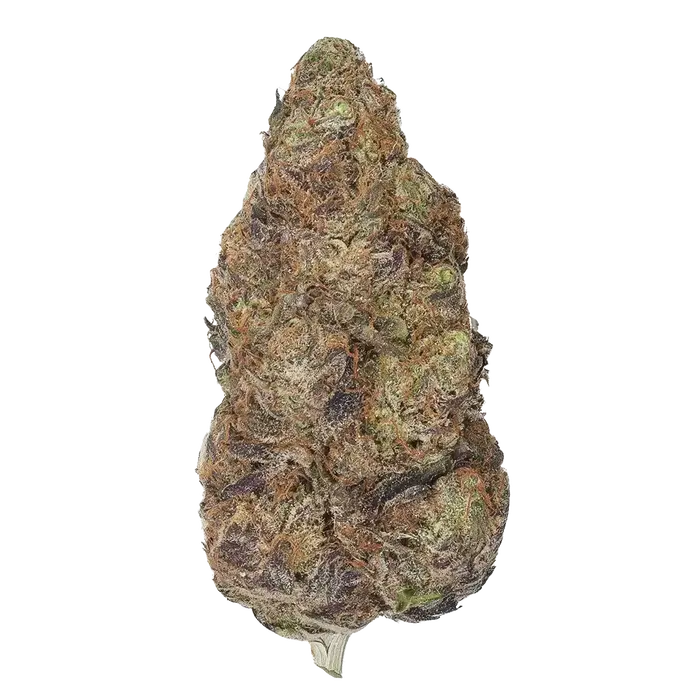 Crème Noir by Xeno Seed Company cannabis strain