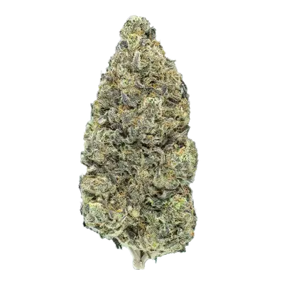 Crunch Berry Diesel by High Grade Selections cannabis strain