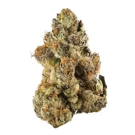 Crypto Gelato by Pharmicated cannabis strain