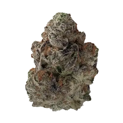 Currency by Offensive Selections cannabis strain