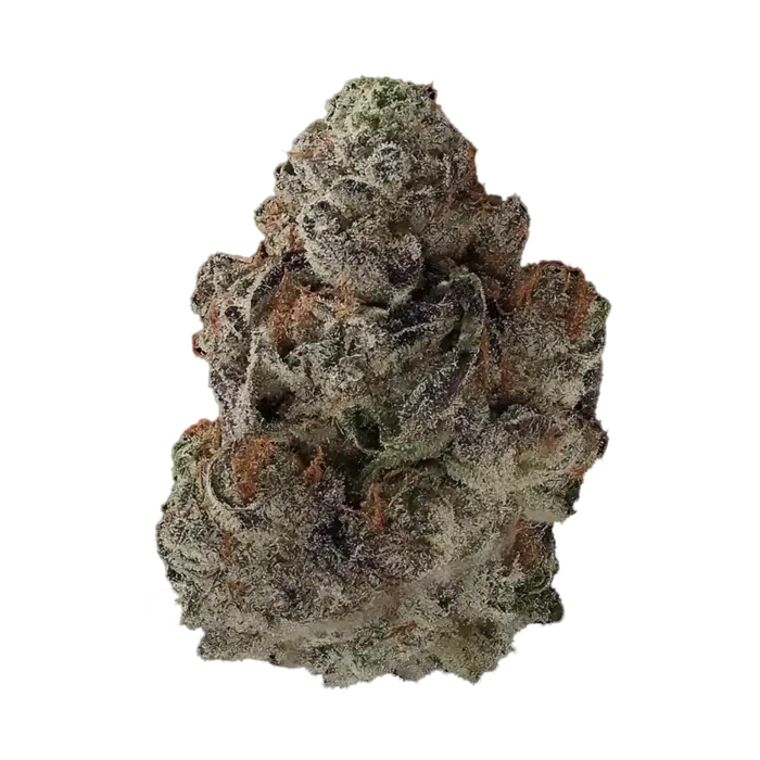 Currency by Offensive Selections cannabis strain
