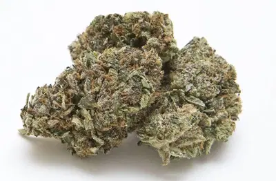 Dank Schrader by Thc Canada cannabis strain