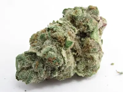 Dawg Breath by Green Dawg cannabis strain