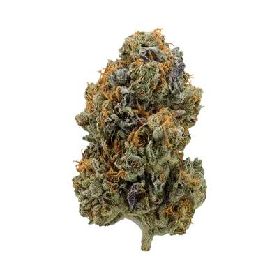 Daydreamz by Burning Rope Pharms cannabis strain