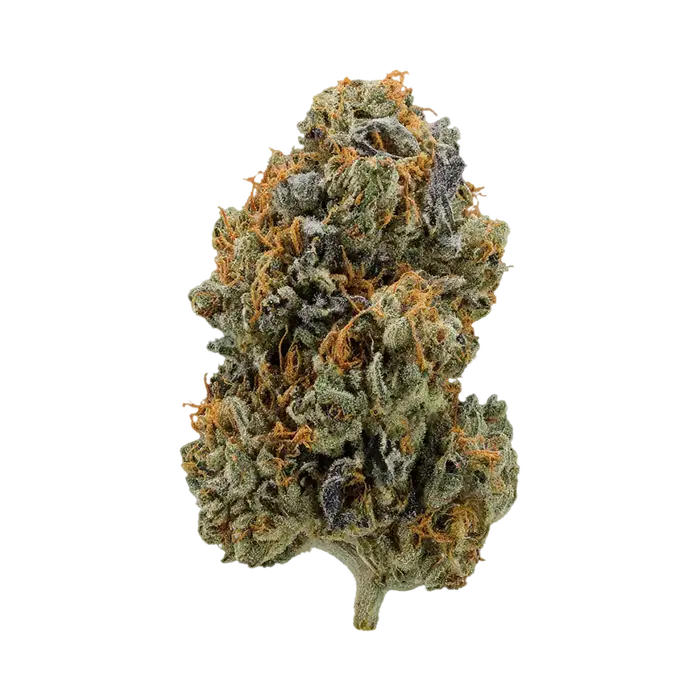 Daydreamz by Burning Rope Pharms cannabis strain