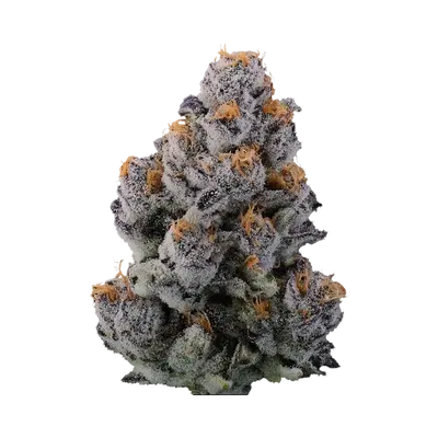 Diabeetus X Devil Driver by Blockhead Buds cannabis strain