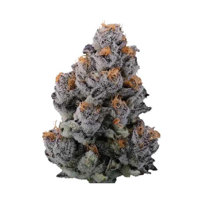 Diabeetus X Devil Driver by Blockhead Buds cannabis strain