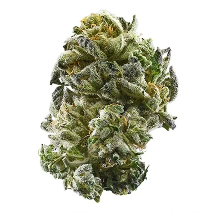 Diamond Punch by Heavy Trichome Genetics cannabis strain