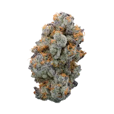 Don’T Ask Don’T Tell by Burning Rope Pharms cannabis strain