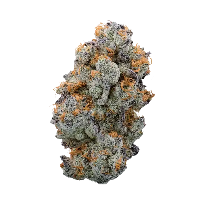 Don’T Ask Don’T Tell by Burning Rope Pharms cannabis strain