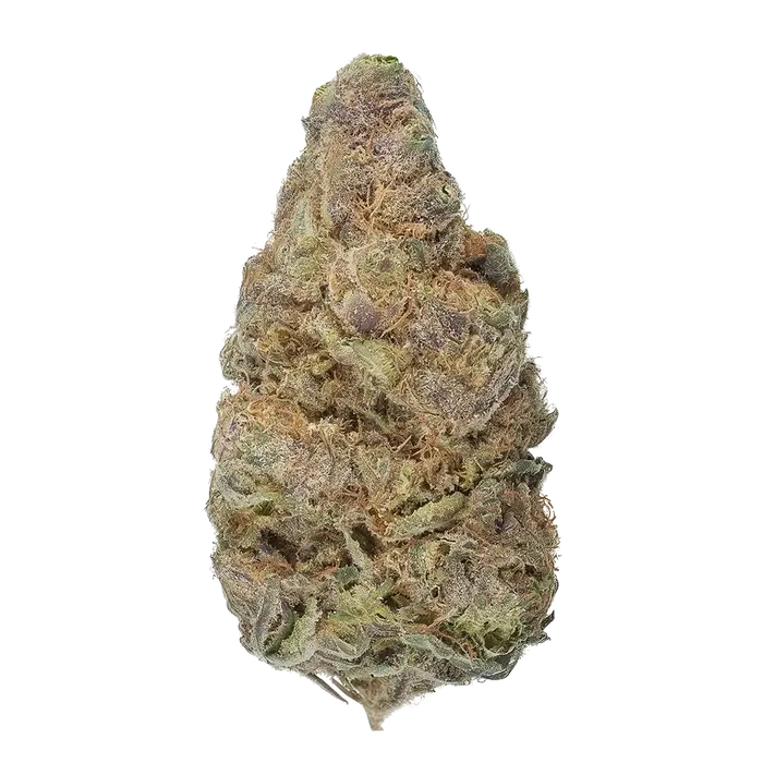 Dragon Spit by High Grade Selections cannabis strain