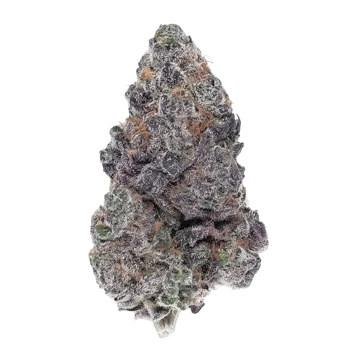 Drunken Lobster by Maine Trees cannabis strain