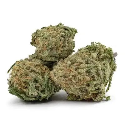 Duke Nukem Regular by Cabin Fever Seed Breeders cannabis strain