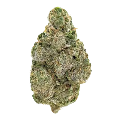 Dulce De Papaya by Nine Weeks Harvest, Photoperiod cannabis strain